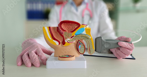 Foto Ultrasound of male genital organs and doctor examines result