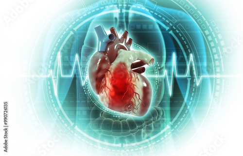 Human heart anatomy on ecg medical background. 3d illustration. photo