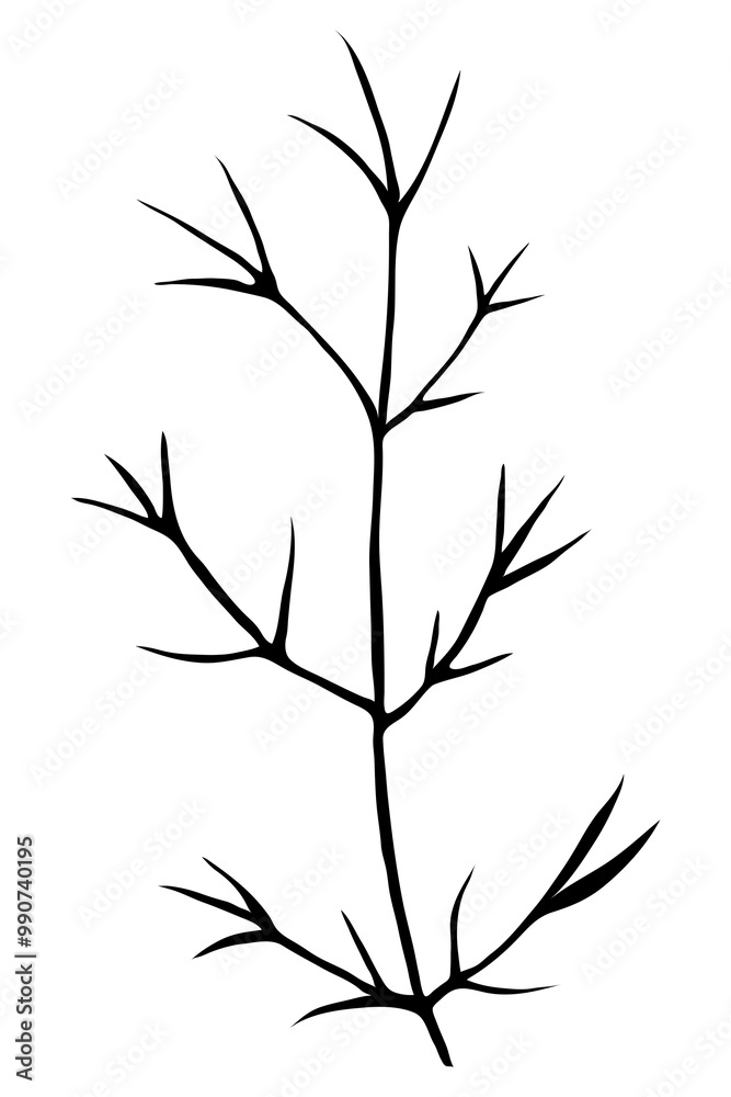 Naklejka premium Silhouette leaf png, cedar branch, transparent background