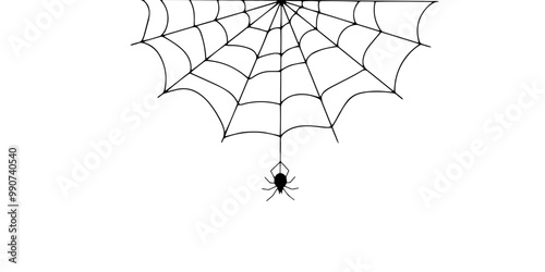 Halloween spider web and spiders isolated on white background. Black spider and torn web. Scary spiderweb of halloween symbol