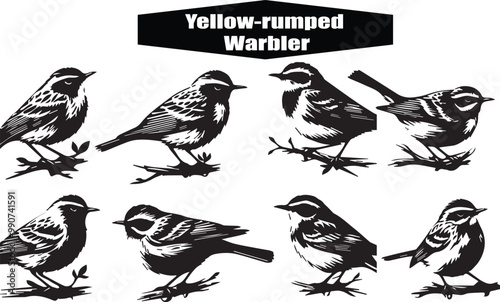 Yellow-Rumped Warbler Bird Illustrations: Black and White Vector Graphics of Songbirds, Wildlife Art, Ornithology Print, Nature Illustration