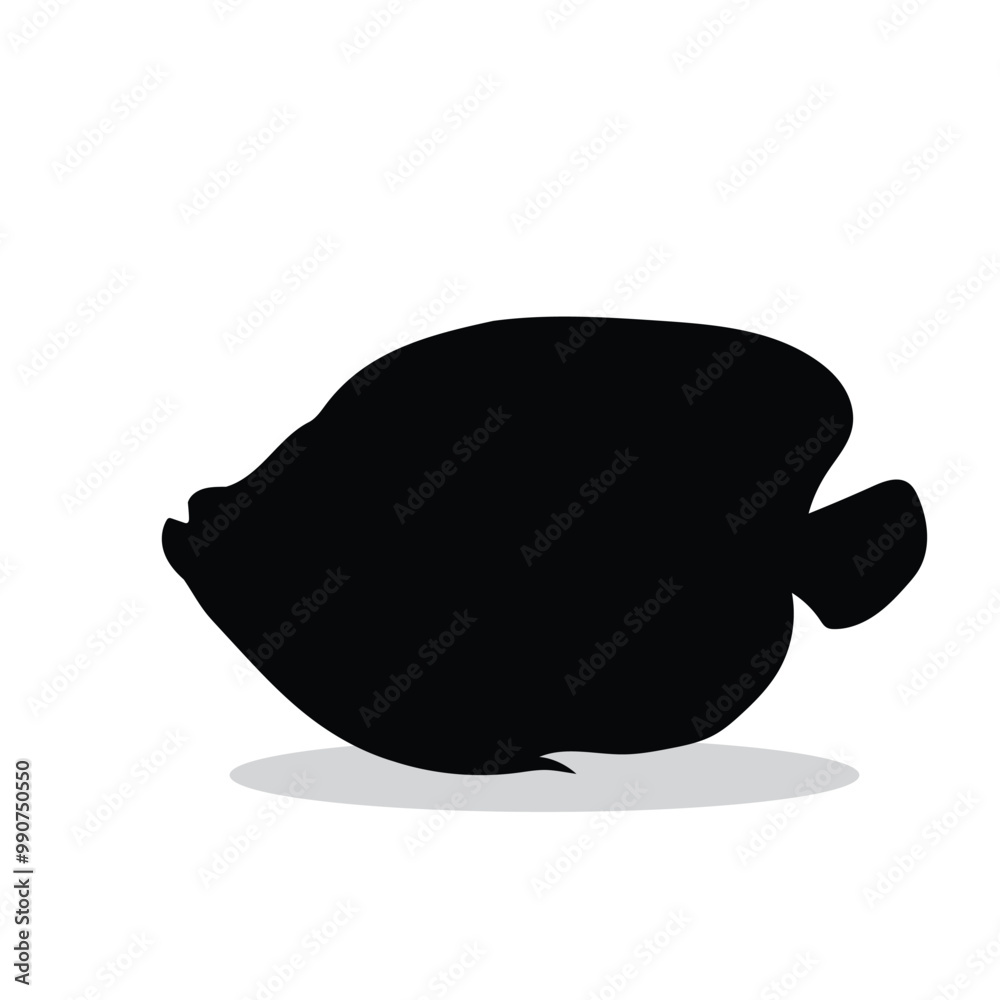 Fish silhouette, Fish Vector illustration, Fish isolated on white background Fish silhouette, Fish Vector illustration, Fish isolated on white background