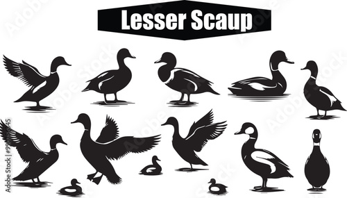 Lesser Scaup Duck Silhouette Vector Art: Black and White Illustration of Aquatic Birds, Wildlife, Ornithology, and Birdwatching Graphic Design
