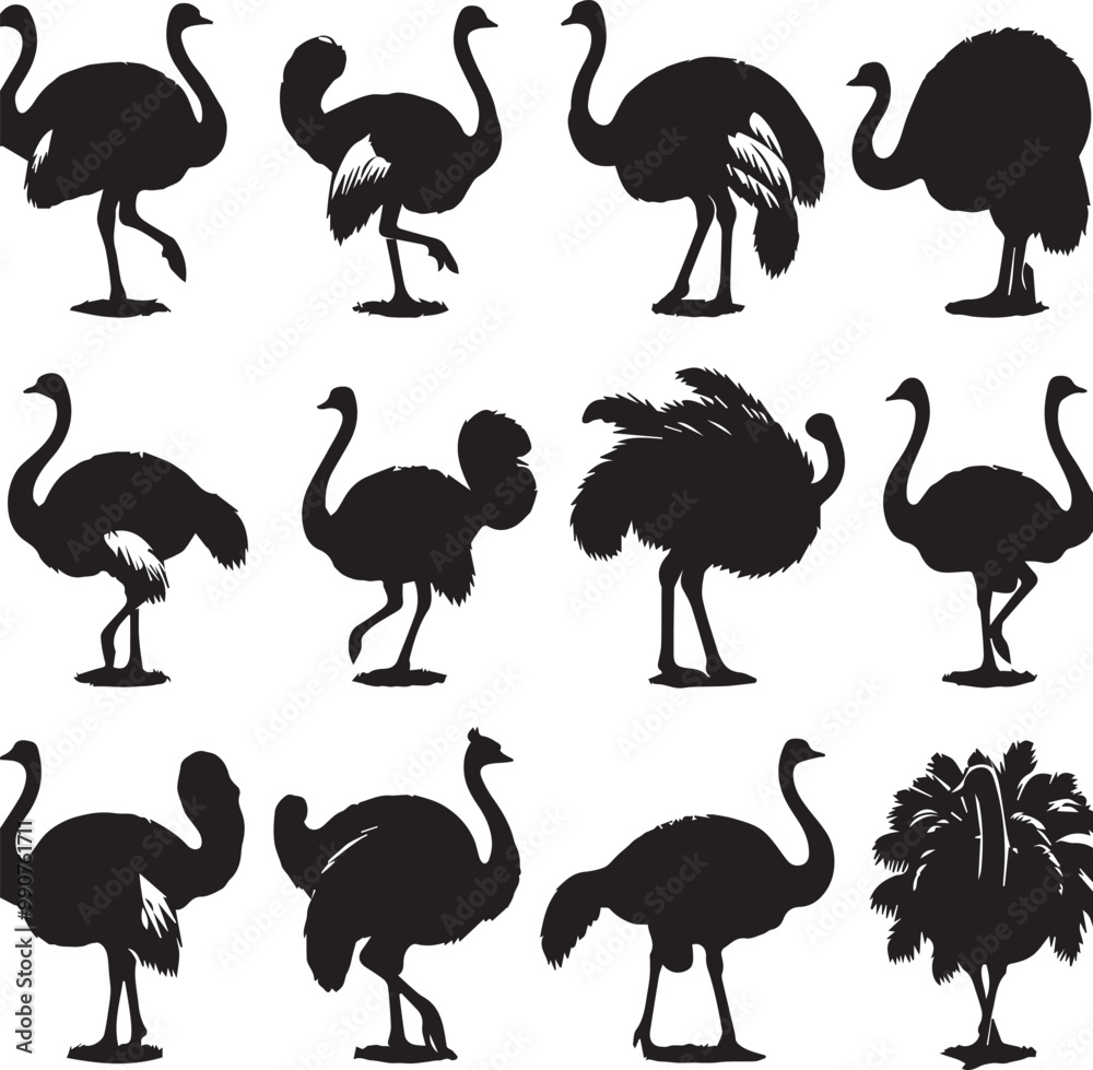 Obraz premium Ostrich Silhouette Vector Set: Black and White Graphic Illustrations of Large Flightless Birds for Design, Print, and Creative Projects