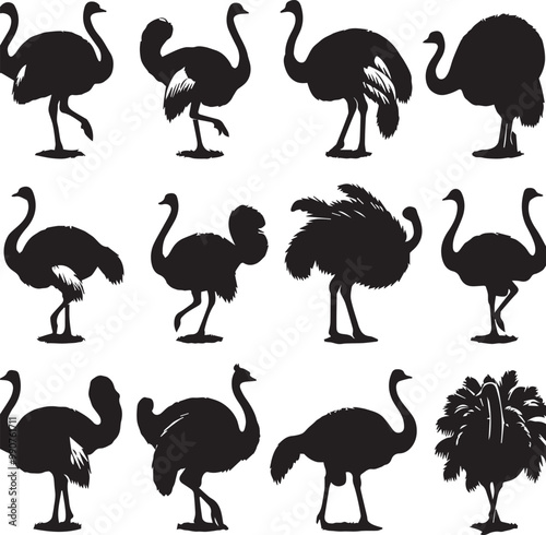 Ostrich Silhouette Vector Set: Black and White Graphic Illustrations of Large Flightless Birds for Design, Print, and Creative Projects