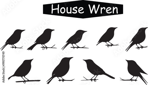 House Wren Silhouette Vector Graphic: Bird Illustration, Wildlife Art, Ornithology Design, Black and White, Nature Clipart, Birdwatching Icon Set