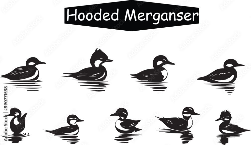 Fototapeta Hooded Merganser Duck Vector Illustration: Black and White Line Art Graphic of Aquatic Birds Swimming in Water, Wildlife Animal Icon Set Design