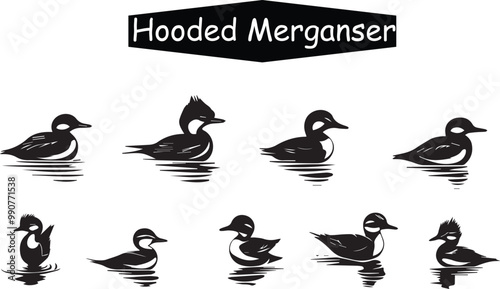 Hooded Merganser Duck Vector Illustration: Black and White Line Art Graphic of Aquatic Birds Swimming in Water, Wildlife Animal Icon Set Design