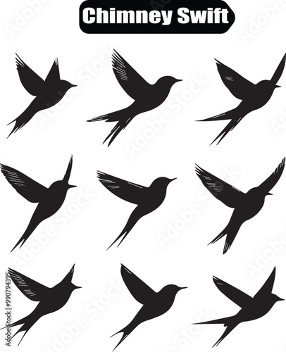 Chimney Swift Bird Silhouette Vector Illustration: Flying Swift Birds Graphic, Wildlife Art, Nature Design Element, Animal Icon, Black and White Clipart