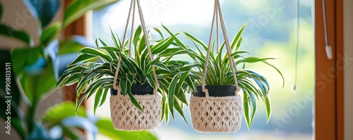 Two vibrant potted plants are suspended in woven hangers by a sunny window, creating a refreshing indoor aesthetic. photo