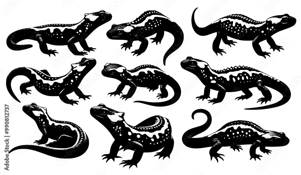 Set of fire salamander isolated on white background Set of fire salamander isolated on white background