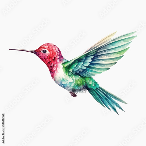 Colorful hummingbird in flight