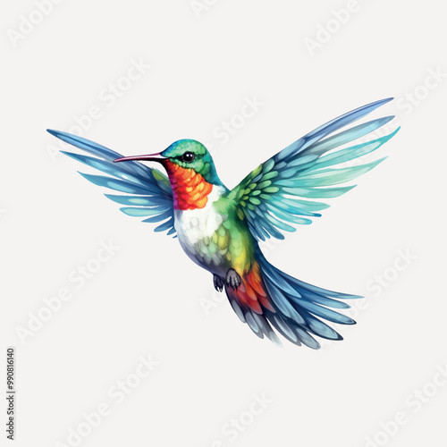 Colorful hummingbird in flight