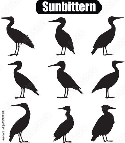 Sunbittern Bird Silhouettes Vector Graphic: Ornithology Illustration of Tropical Wading Birds in Black and White for Wildlife and Nature Designs