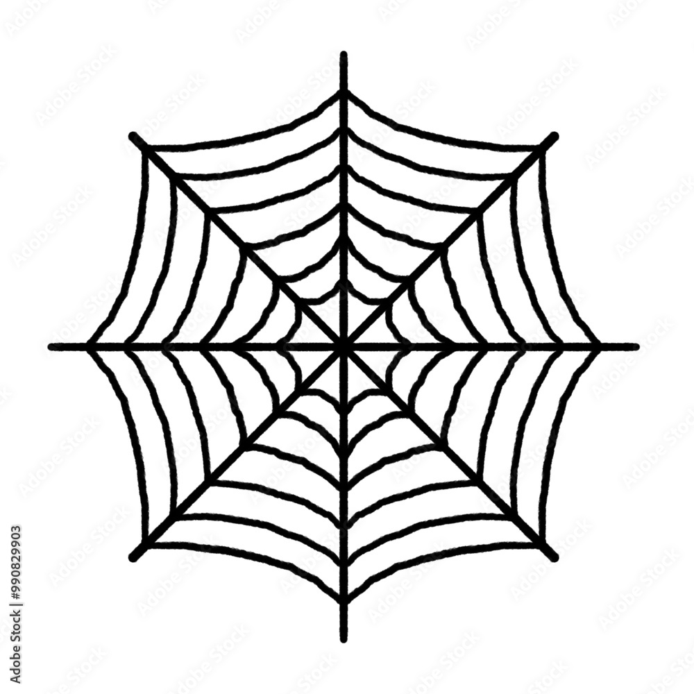 Fototapeta premium spider web