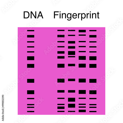 DNA fingerprint on pink background 