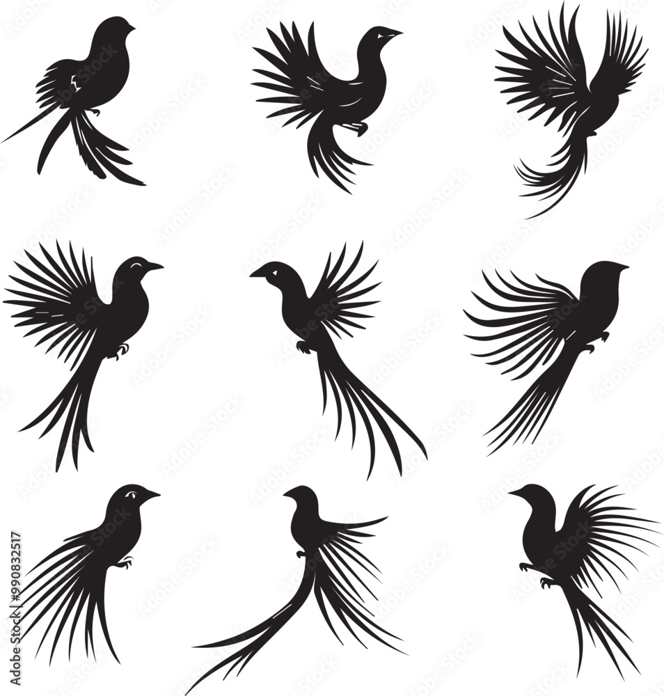 Fototapeta premium Quetzal Abstract Silhouette Vector Graphics Pack
