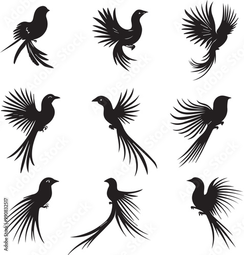 Quetzal Abstract Silhouette Vector Graphics Pack