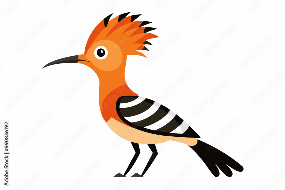 Obraz premium Hoopoe Bird vector art and illustration