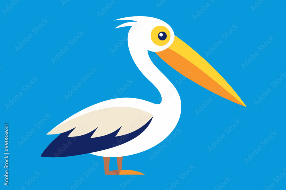 Fototapeta premium Pelican Bird vector art and illustration