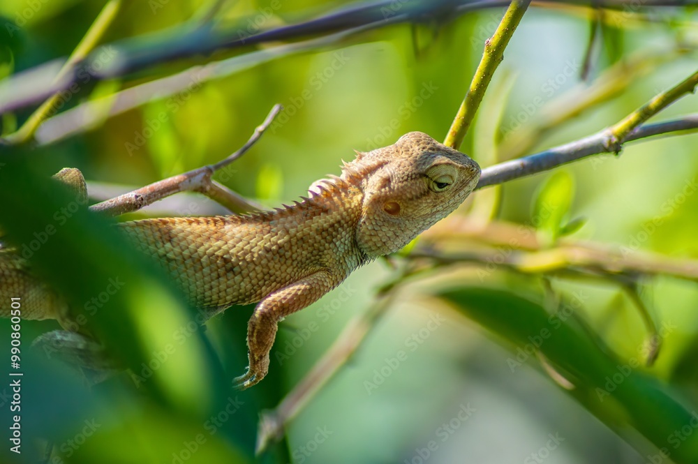 Close up of a brown lizard perched on a green branch with foliage in the background, highlighting the texture and details of its skin in a natural habitat Close up of a brown lizard perched on a green branch with foliage in the background, highlighting the texture and details of its skin in a natural habitat