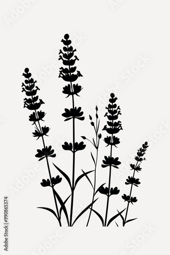 Black floral silhouette design