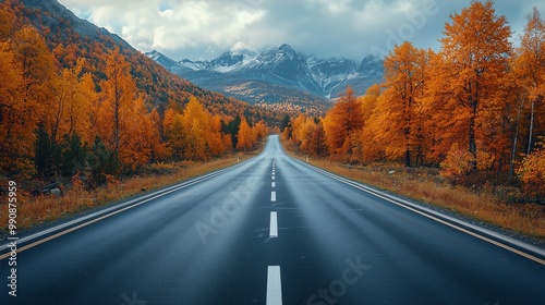 Scenic Highway with Fall Trees in Vibrant Colors