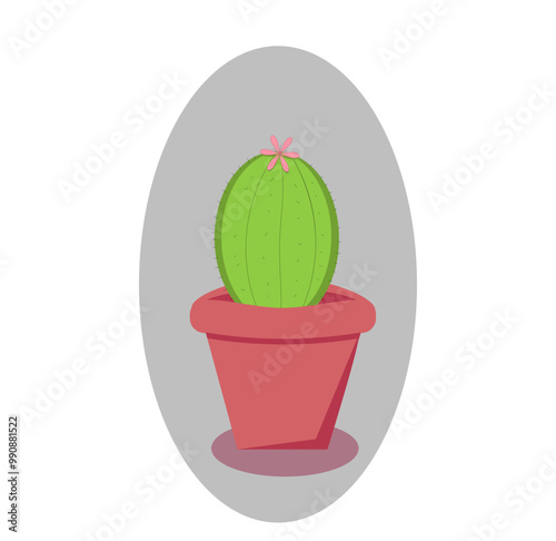 cactus in a pot on a gray background, 
