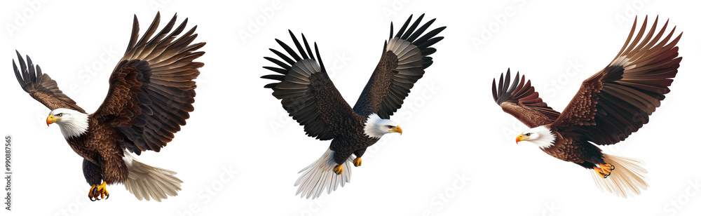 Fototapeta premium Majestic eagle flying high, wings spread, isolated on a transparent background. A powerful image of nature’s fierce predator, great for wildlife photography and symbolizing freedom.