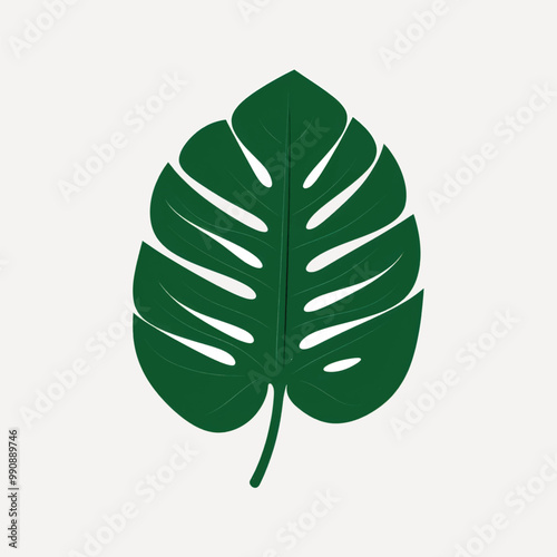 Tropical Monstera leaf illustration