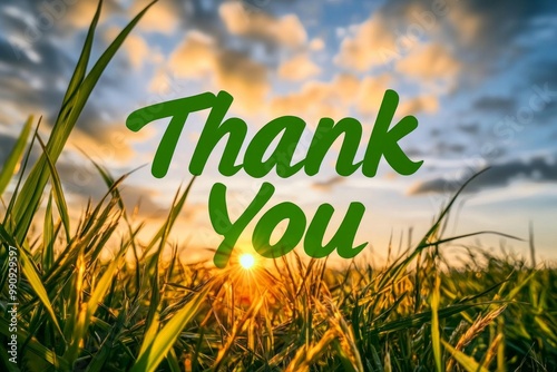 "Thank You" in bold green font, placed over a lush field of grass with the sun setting in the background 