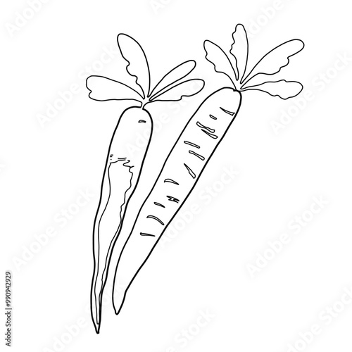 食べ物のシンプルなイラスト（にんじん）