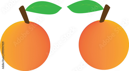 Two oranges illustration isloated on transparent white background