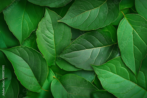 Green leaf texture and background. generative AI