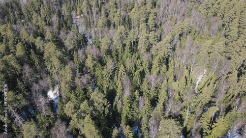 Drone movement in a circle over the forest on a sunny winter day. aerial view from above, flying over the snow-covered winter forest, fallen pine trees. High quality 4k footage