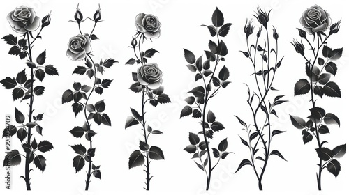 Design black silhouette illustrations of spooky Halloween White rose in set of collection ,with bold lines and simple design, placed on a white background 