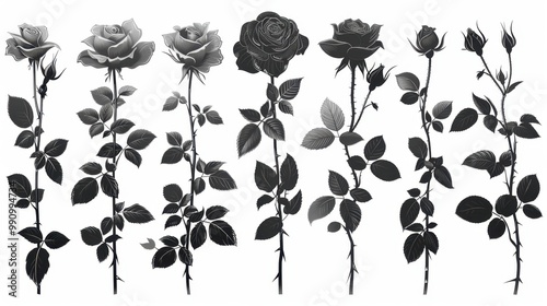 Design black silhouette illustrations of spooky Halloween White rose in set of collection ,with bold lines and simple design, placed on a white background 