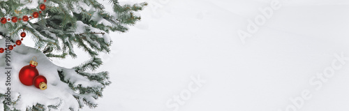 White snow and twigs of gre...