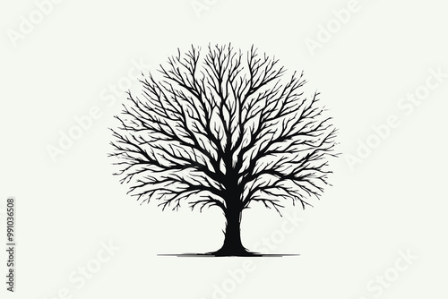 A minimalist vector illustration of a leafless tree art