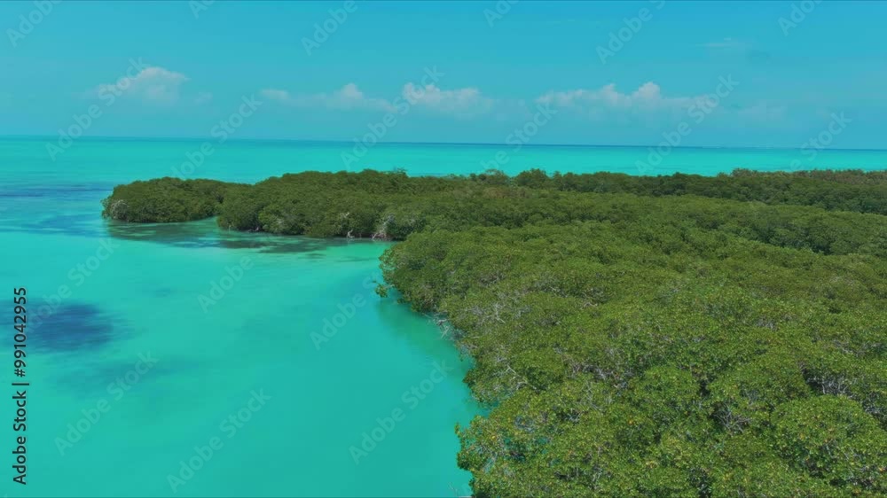 Immerse yourself in the breathtaking beauty of a tropical paradise as we take you on a mesmerizing journey through its crystal-clear waters. From above, youll witness the stunning contrast between the Immerse yourself in the breathtaking beauty of a tropical paradise as we take you on a mesmerizing journey through its crystal-clear waters. From above, youll witness the stunning contrast between the