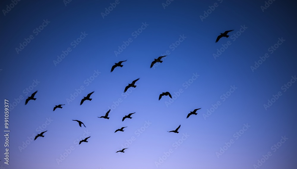A flock of birds soars across the sky at twilight, their dark silhouettes standing out against the deepening shades of blue and purple.