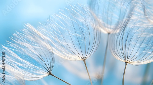 Dandelion Flower Under Blue Sky, Minimalist, Abstract Image, Texture, Pattern Background, Wallpaper, Cover and Screen of Smartphone, PC, Laptop, 9:16 and 16:9 Format