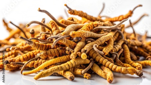 Close up of Ophiocordyceps sinensis, a nourishing Chinese herb , mushroom, cordycep, background photo