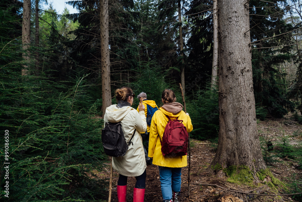 Back view friends walking with backpacks in forest. Trekking travel in adventure lifestyle, nature hiking in vacation holiday with journey. Tourism, hiking, and friendship concept. Outdoor activities. Back view friends walking with backpacks in forest. Trekking travel in adventure lifestyle, nature hiking in vacation holiday with journey. Tourism, hiking, and friendship concept. Outdoor activities.