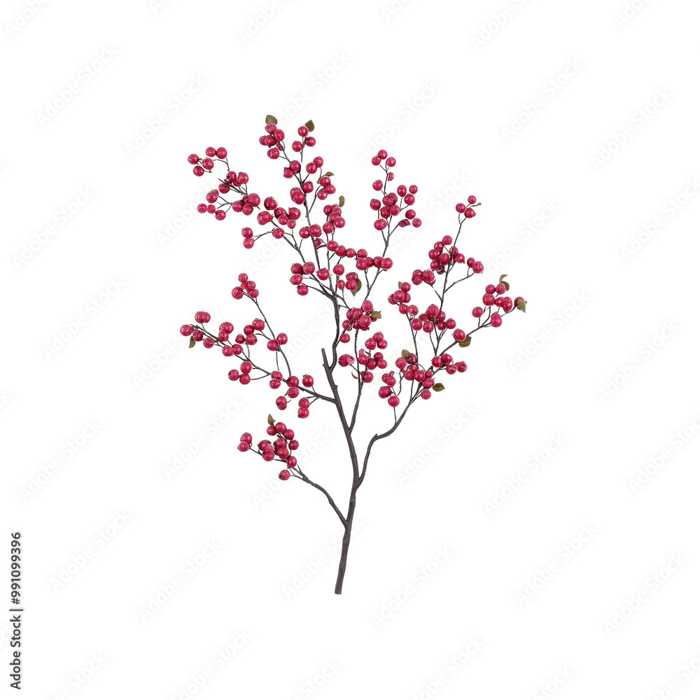 Pink Berry Branch with White Background Pink Berry Branch with White Background