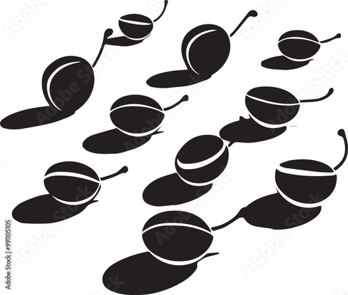 Coffee Beans Outline Silhouette Graphics Collection