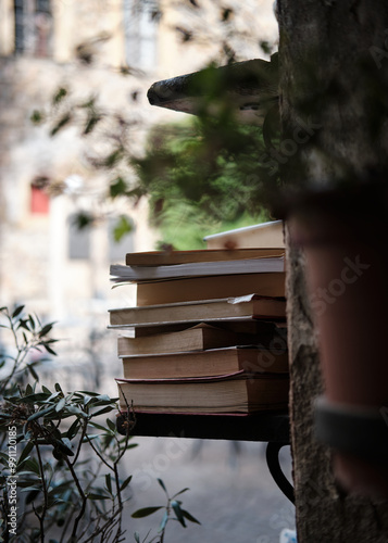 Obraz na płótnie Foto scattata nel centro storico di Cervo ad una pila di libri. w salonie