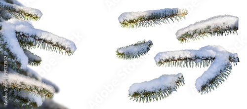Obraz na płótnie A real Christmas tree covered in snow on the left with isolated pine tree branches with frost and snow cut out against a transparent background on the right. w salonie
