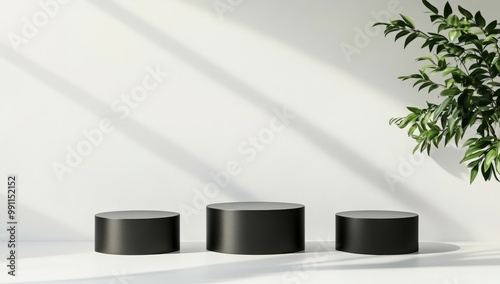 Minimalist Black Cylindrical Podiums with Plant
