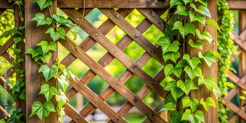 Green leaves climbing on a wooden lattice trellis of a rustic country house veranda photo